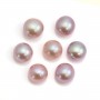 Perles de culture d'eau douce, semi-percée, mauve, bouton, 6-6.5mm x 4pcs