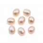 Perles de culture d'eau douce, semi-percée, mauve, ovale, 4-4.5mm  x 2pcs