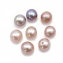 Perles de culture d'eau douce, semi-percée, mauve, ronde, 5.5-6mm x 2pcs