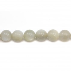 Pierre de lune ronde 12mm x 1pc