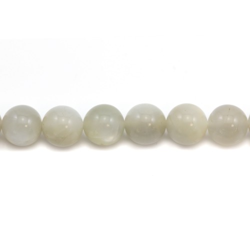 Pierre de lune ronde 14mm x 1pc