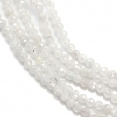 Round moonstone 2.5-3mm x 40cm