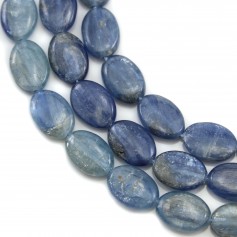 Cyanite ovale 10x14mm  A x 40cm