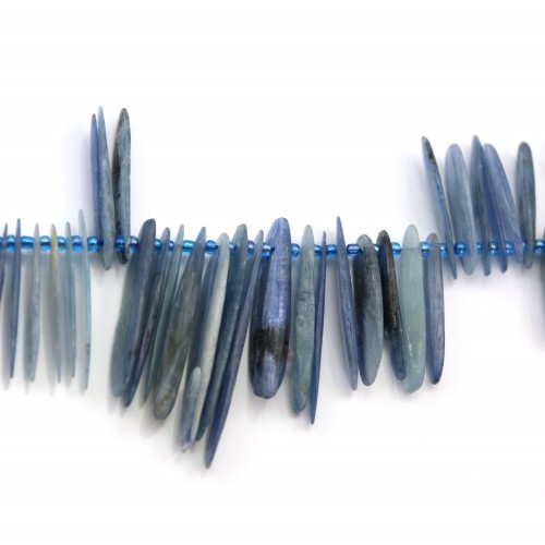 Cyanite forme baroque x 40cm