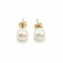 Boucles d’oreilles en gold filled & perles de culture d'eau douce x 2pcs