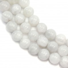 Moon Stones Round 8mm x 40cm
