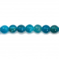 Apatite Ronde 5mm x 5 pcs