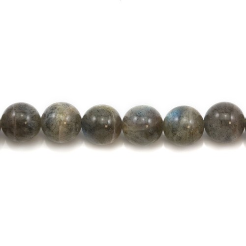 Labradorite Round 10mm x 4pcs 
