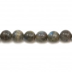 Labradorite Ronde 10mm x 4pcs