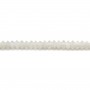 Pierre de lune grise rondelle boulier 2x3mm x 40cm