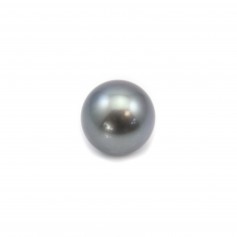 Tahitian pearl 13.1x14.7mm