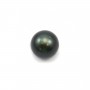 Tahitian cultured pearl, round, 12-13mm, D x 1pc