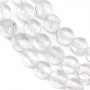 Rock Crystal Quartz Faceted Flat Round 10mm x 40cm