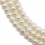 Perles d'eau douce blanches ovales sur fil 4-5mm x 40cm