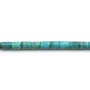 Turquoise, in the shape of a tube, size  4x6mm x 40cm