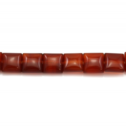 Red agate clover 16mm x 40cm