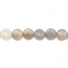 Agate grise ronde plat 12mm x 40cm  