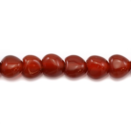 Agate rouge carré arrondie 8mm x 40cm