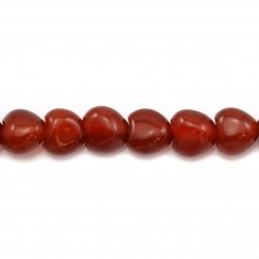 Agate rouge carré arrondie 8mm x 40cm