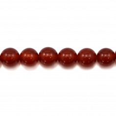 Agate rouge ronde 10mm x 5pcs