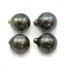 Tahitian cultured pearl oval 14-15mm x 4pcs