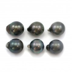 Tahitian pearl half round 12.5x13.5mm x 6pcs