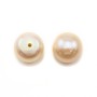 Perles de culture d'eau douce, semi-percée, saumon, bouton, 9-10mm x 2pcs