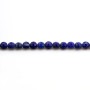 Lapis Lazuli Round 10mm x 40cm 