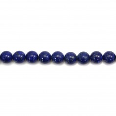 Lapis-Lazuli Rond 3mm x 20 pcs