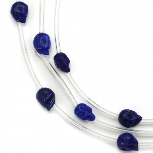 Lapis lazuli tête de mort 12mm  x 40cm (10pcs)