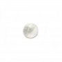 Cabochon Mãe de Pérola redonda plana 10mm x 1pc