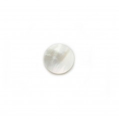 Cabochon Nacre Blanche rond plat 12mm x 1pc