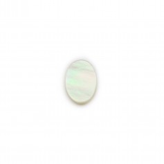 Cabochon Perlmutt weiß oval flach 6x8mm x 2pcs
