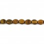 Oeil de tigre oval 8x10mm x 40cm
