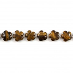 Oeil de tigre  en fleur 15mm x 2pcs