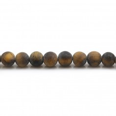 Œil de tigre matte de forme ronde 8mm x 38cm