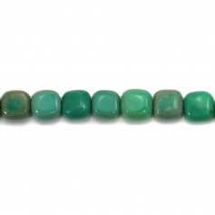 Agate d'herbe carré 8mm x 40cm