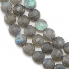 Labradorite Faceted Flat Round 10mm x 40cm