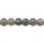 Labradorite Faceted Flat Round 10mm x 40cm