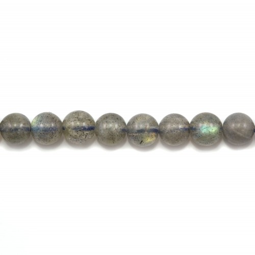 Labradorite Ronde 4mm x 10pcs