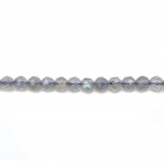 Labradorite Faceted Round 3mm x 40cm