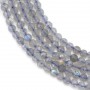 Labradorite Ronde Facette 3mm x 20pcs