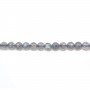 Labradorite Ronde Facette 3mm x 20pcs