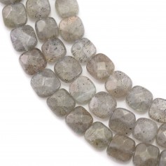 Labradorite carré facette 6mm x 40cm