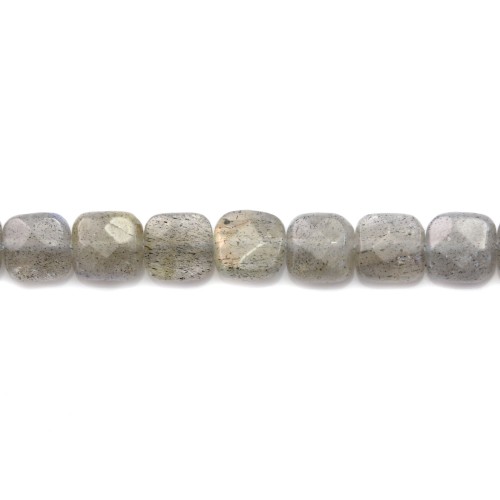 Labradorite faceted square 6mm x 40cm