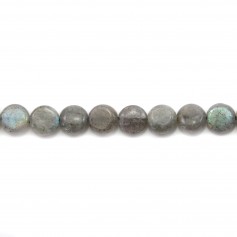 Labradorite ronde plate 8mm x 6pcs