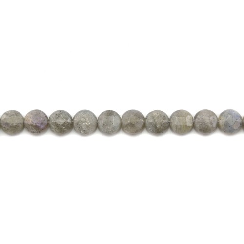 Round flat faceted Labradorite 8mm x 40cm
