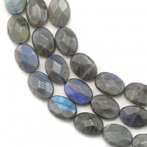 Facet Oval Labradorite 10x14mm x 40cm