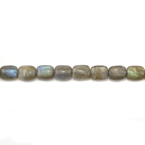 Labradorite Rectangle 8x12mm x 40cm