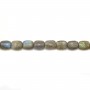 Labradorite Rectangle 8x12mm x 40cm